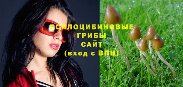 кокаин премиум Богородицк