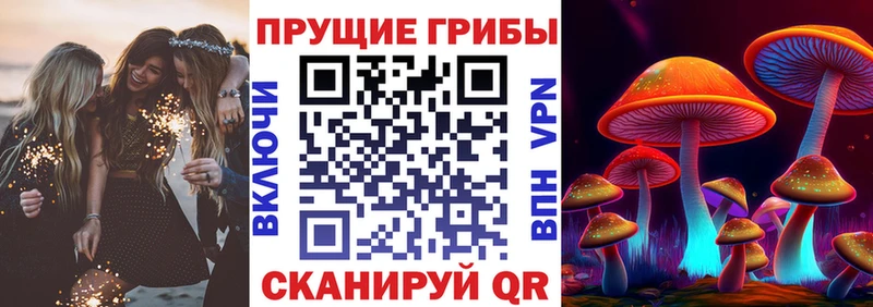 Галлюциногенные грибы мицелий цены Можайск