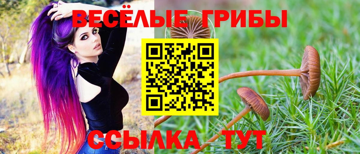 Псилоцибиновые грибы Cubensis  Галлюциногенные грибы прущие грибы  дарнет шоп  Можайск  Вход с VPN 